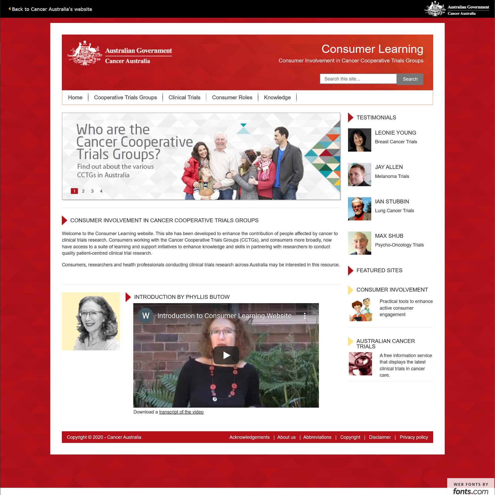 Consumer Learning website screenshot