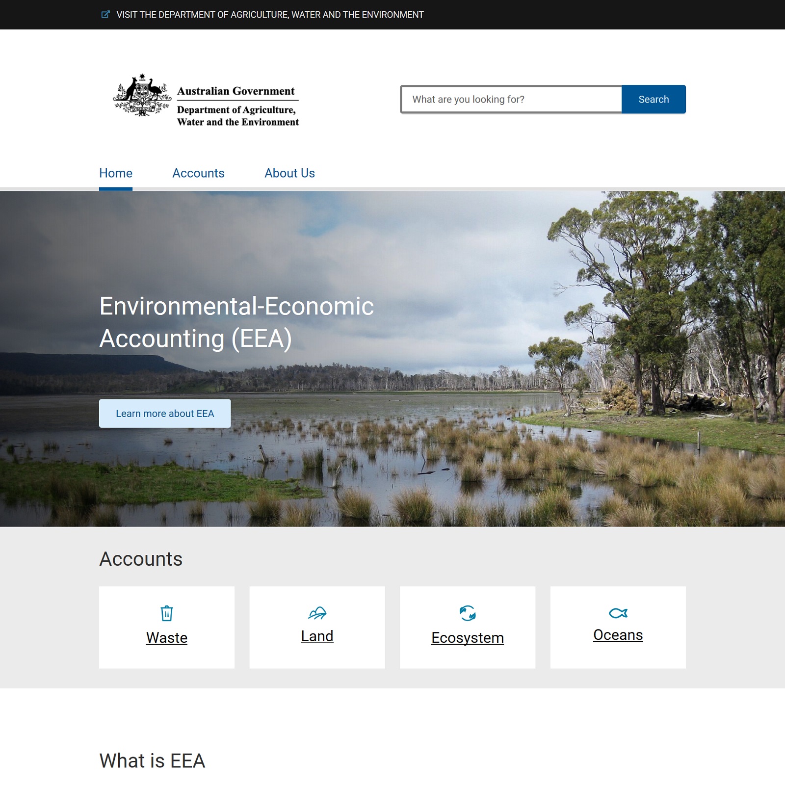 Environment-Economic Accounting website screenshot