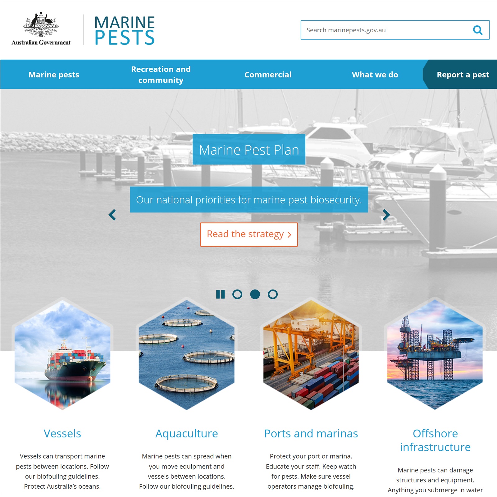 Marine Pests