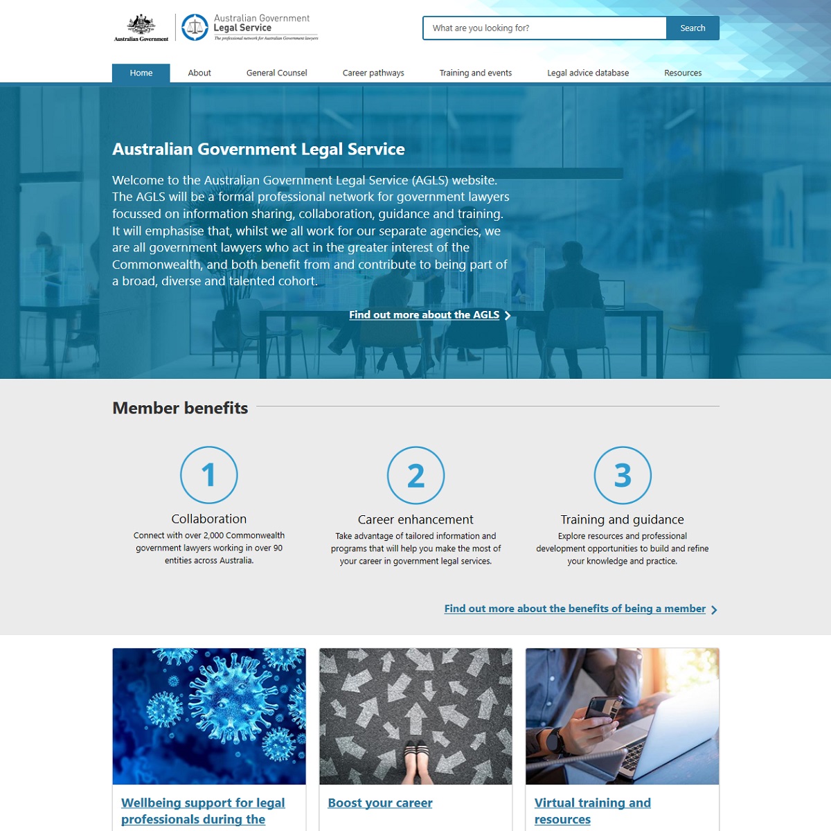 Australian Government Legal Service