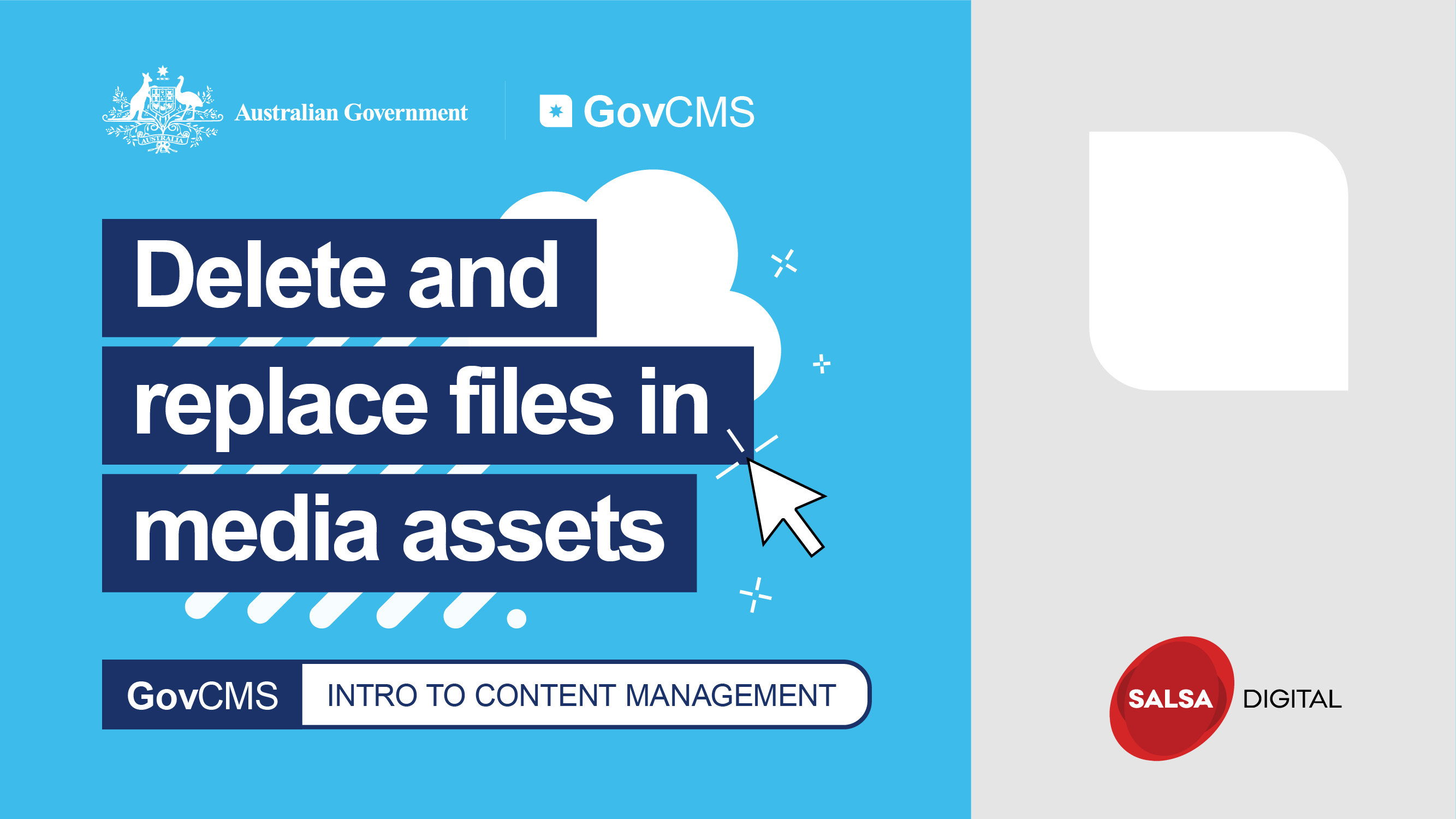 Delete replace files in media assets