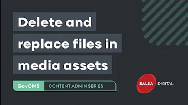 Delete replace files in media assets